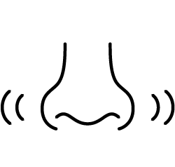 フクレッシュ
